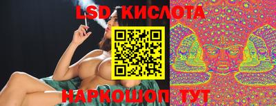эйфоретик Малгобек