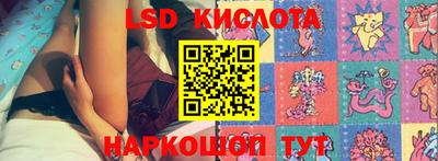 эйфоретик Малгобек