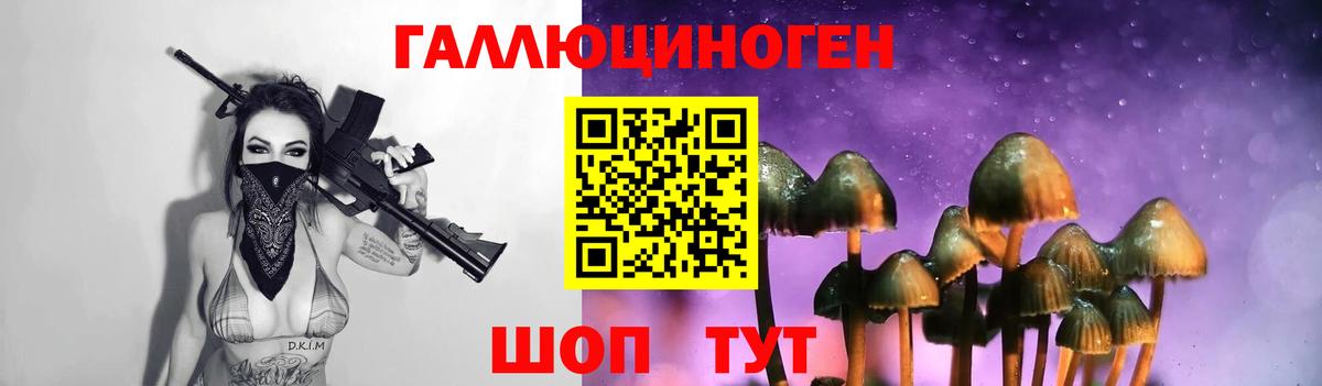 цены   Галлюциногенные грибы мухоморы  Псилоцибиновые грибы MAGIC MUSHROOMS  Вход с VPN  Заречный 